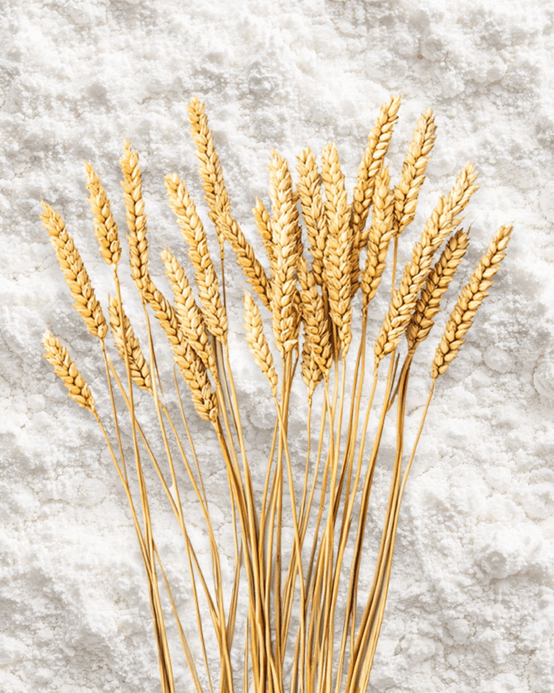 Wheat Starch